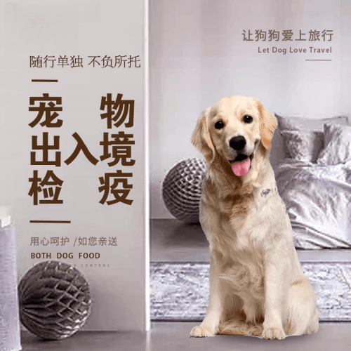 昭通市宠物托运到哥伦比亚猫狗宠物入境规定和