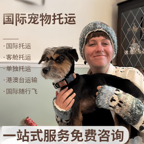 昭通市国际宠物托运到阿根廷宠物入境规定和要