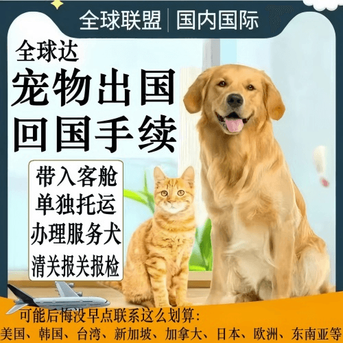 昭通市宠物托运到柬埔寨宠物入境规定和要求