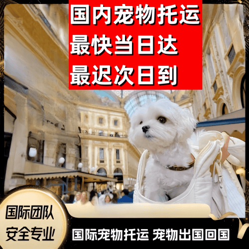 昭通市到澳大利亚（澳洲）宠物入境规定和要求