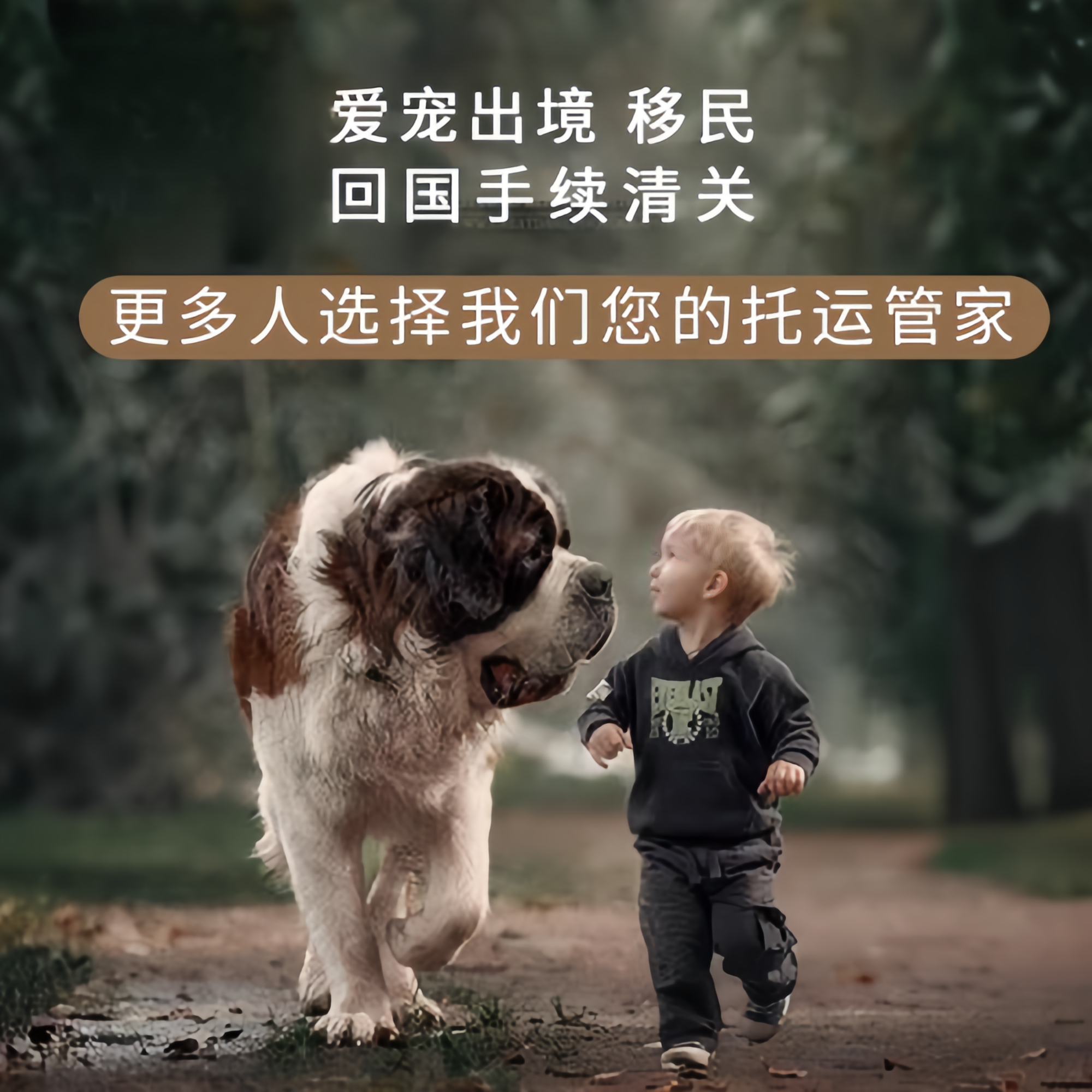 满财昭通市宠物全球达宠物托运在遵守入境目的地政策的条件