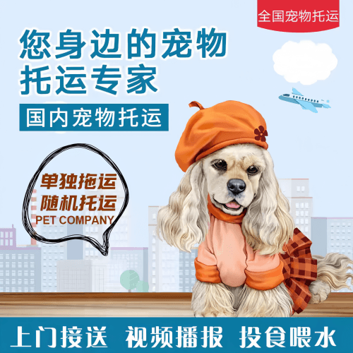 满财昭通市宠物全球达宠物托运作为专业的宠物运输代理机构
